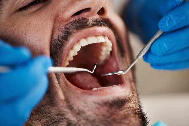 Best Emergency Orthodontic Repairs in Gberts, IL